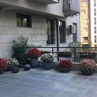 თბილისი/ვაკე/